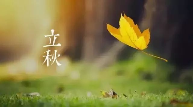 立秋,秋风送爽，立秋时节到来。