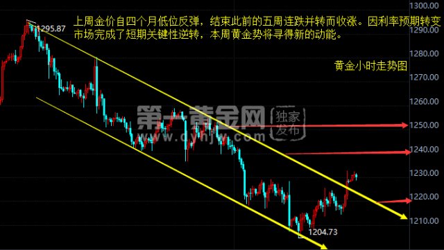 金价最新价,金价波动，最新报价揭晓。