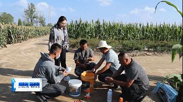 大豆最新消息,“大豆市场动态速递”