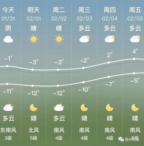 锦州最新天气,锦州今日实时气象速览