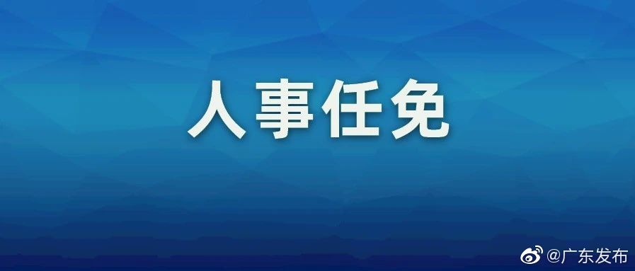 广州最新人事任免,广州人事调整动态揭晓。