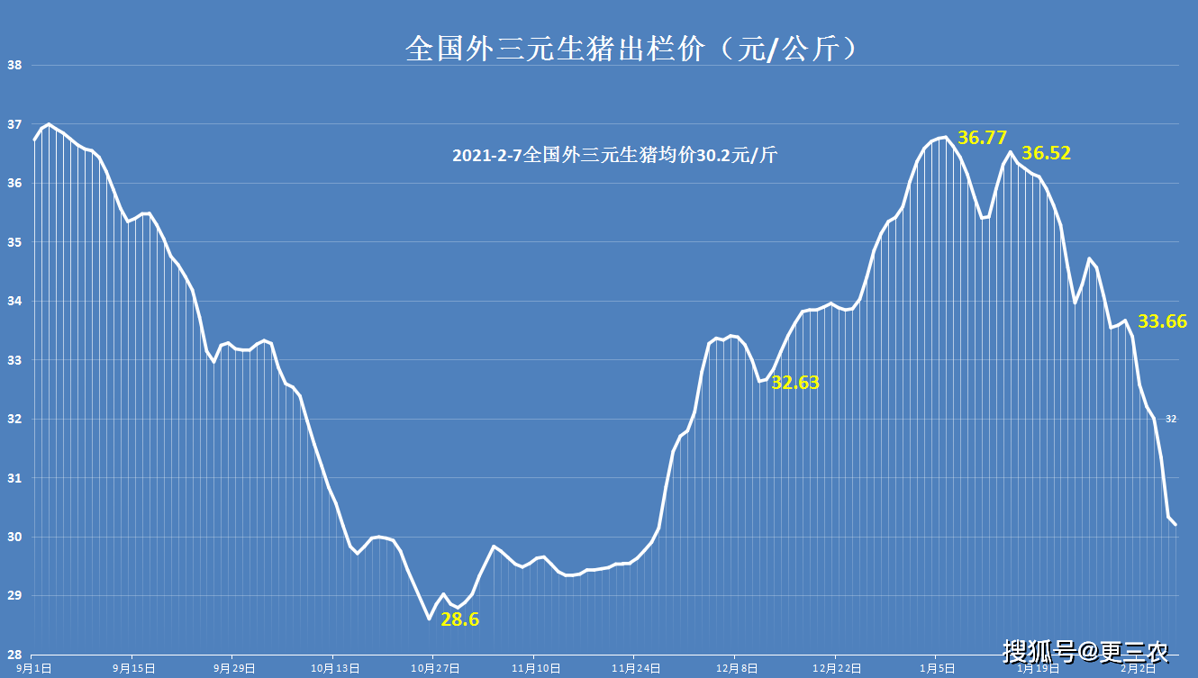 猪肉最新价格走势,猪肉价格波动，最新动态速览。