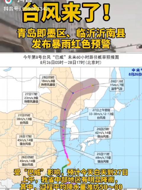 烟台台风最新消息,烟台地区台风最新动态