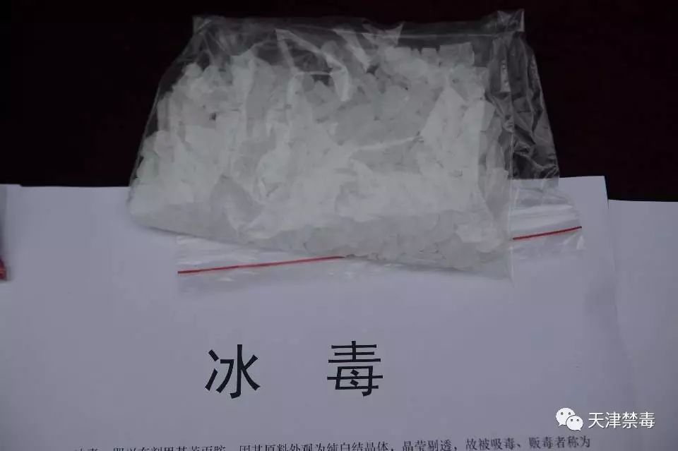 聚焦快读 第489页