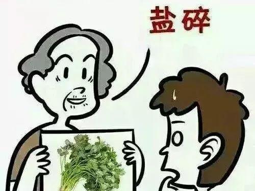 安平县最新招聘信息,安平县最新人才招聘资讯速递。