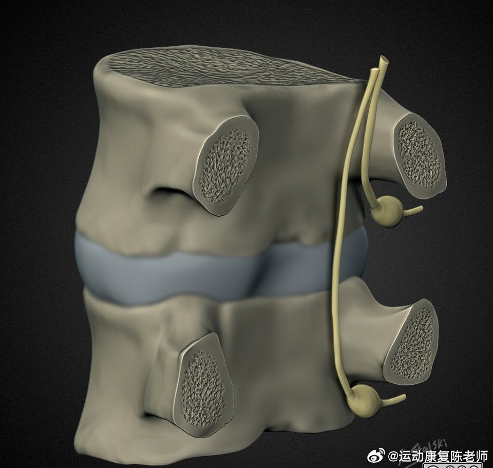 最新腰椎盘,前沿腰椎间盘治疗技术取得突破。