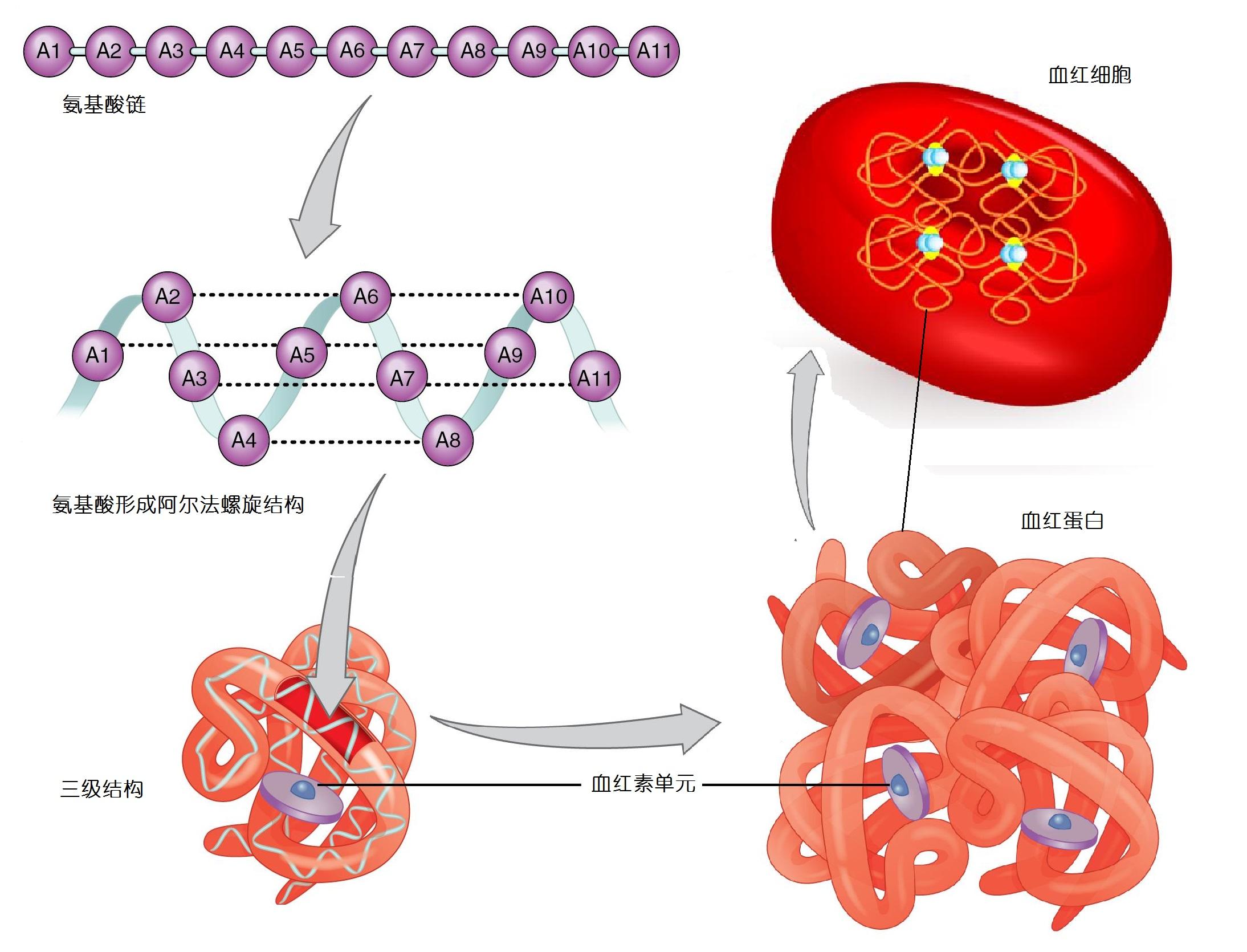 化学最新研究,前沿化学领域最新突破成果显著。