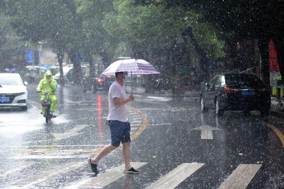 暴雨最新版,最新暴雨预警来袭！