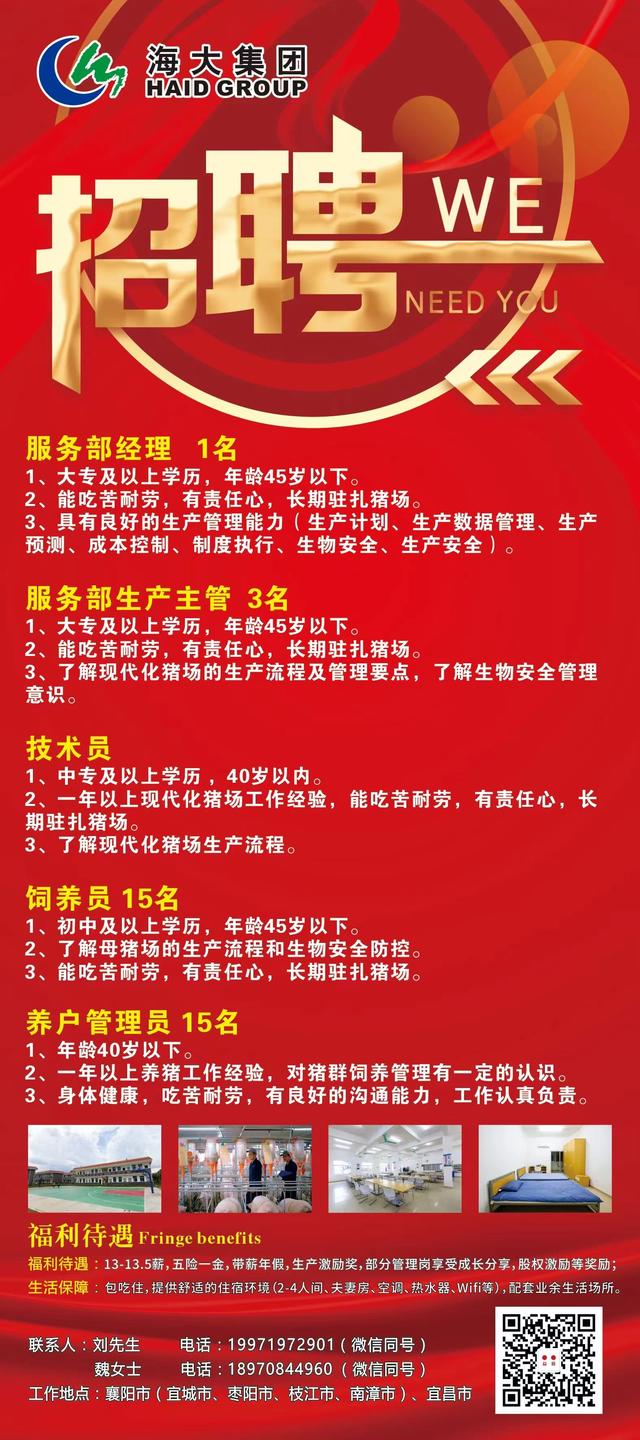 大瑶最新招聘,瑶山企业招聘季火热开启。