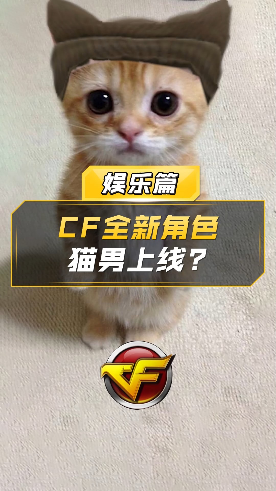 猫咪官方最新版网站,官方猫咪平台全新上线！