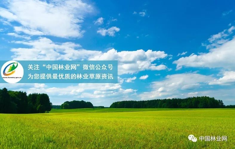 944cc免费资料大全,精细解读解答解释现象_实习款I16.448