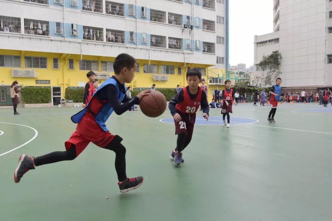 成都上小学最新政策,成都实施全新小学入学规范政策。