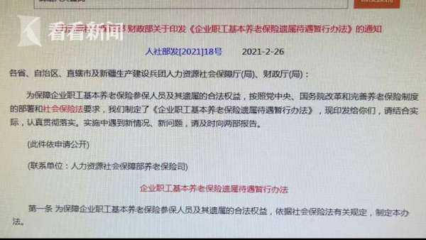 河北遗属补助政策最新,“河北省最新出台的遗属抚恤金政策详解”