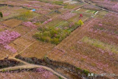 南岸水库工程最新动态,南岸水库建设进展迎来新突破。