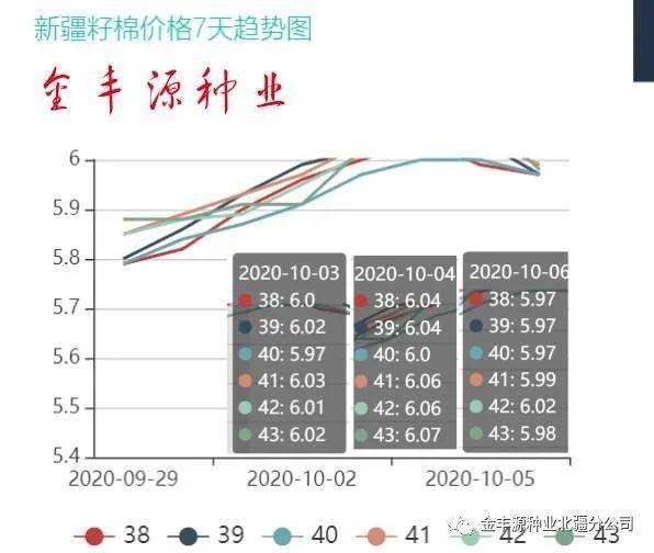 全国棉籽最新行情,全国棉籽市场动态速览