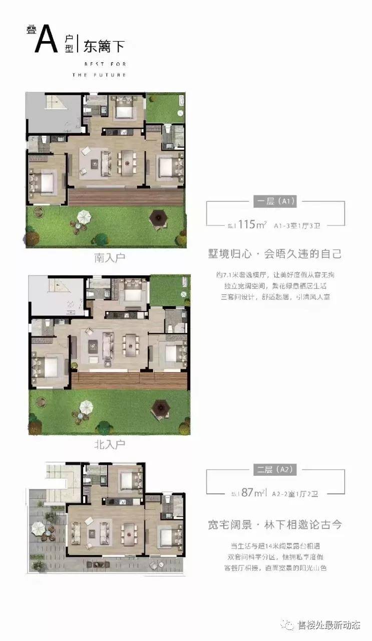 剑影飘渺 第3页