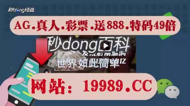 2024年澳门精准免费大全,揭示背后的犯罪问题_百变版L99.465