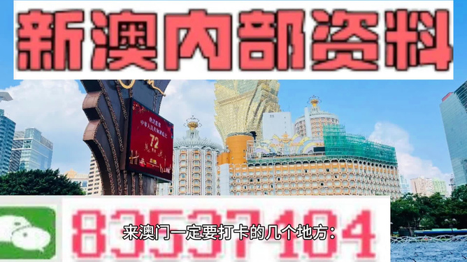 2024新澳免费资料内部玄机,探究其背后的违法犯罪问题_虚拟集N19.877