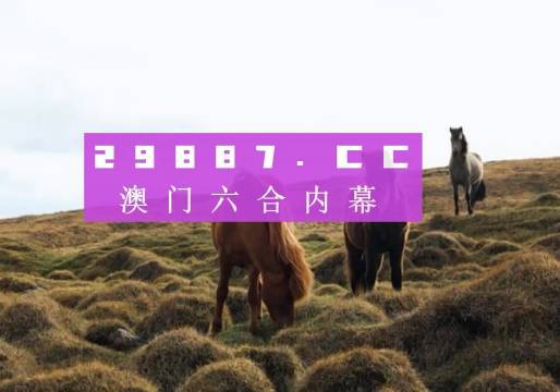 澳门六开奖结果2023开奖记录查询网站,深度解析与最新动态_战略款D16.447