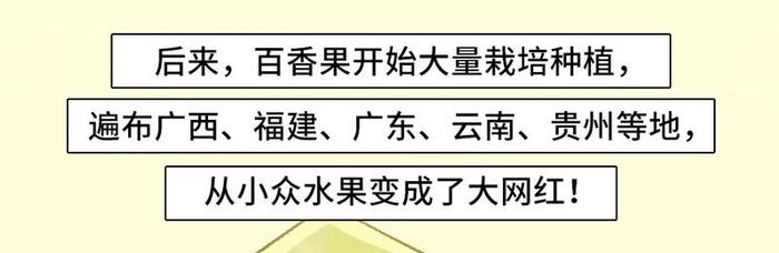 管家婆一码一肖资料,揭秘数字背后的秘密与全准之道_积蓄版O2.452