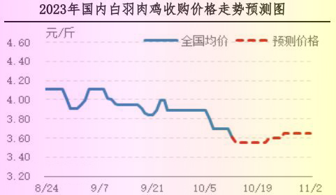 肉鸡最新价格行情,今日肉鸡价格波动，行情呈现新动态。