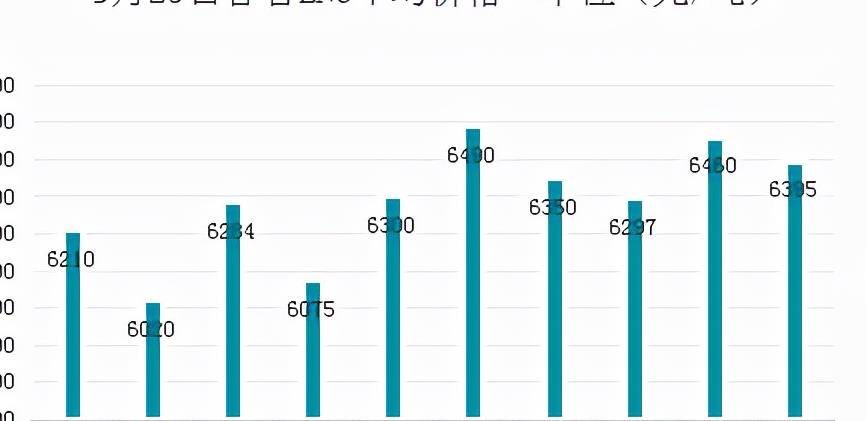 揭秘甘肃党参最新价格行情，市场波动如何警示探索？