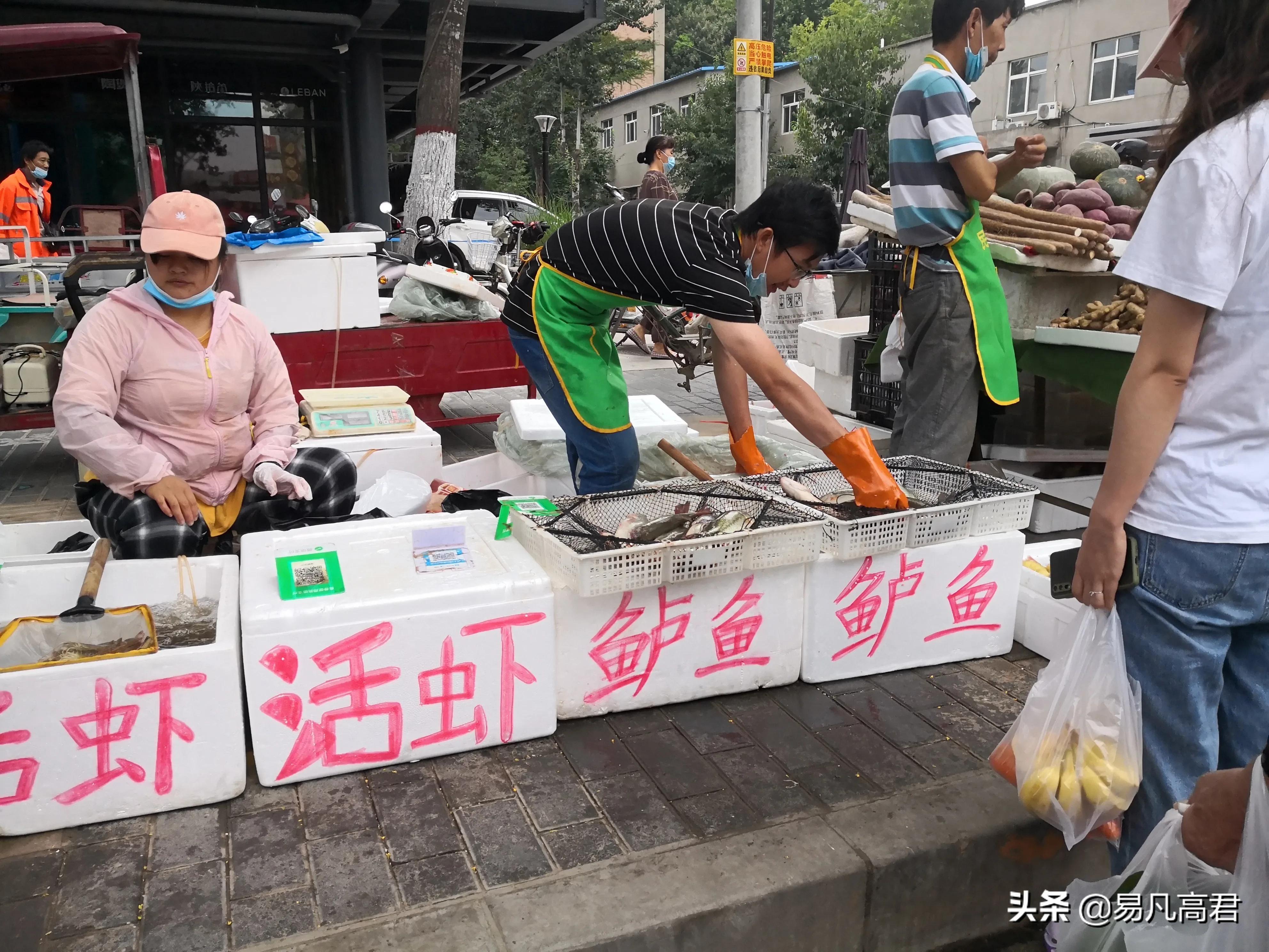 揭秘：西安最新热门农贸市场招商热，招租信息抢先看！