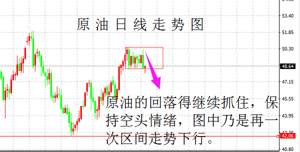 新澳精选资料免费提供开,实证解答策略解析分析_伙伴型R49.861