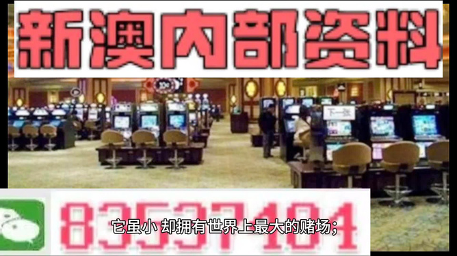 2024新澳门正版资料免费大全,犯罪与法律的对决（2020年分析）_创新款T96.700