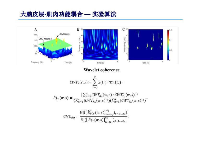 水肖最准确的生肖,深刻评估解析方案_单人版W84.419