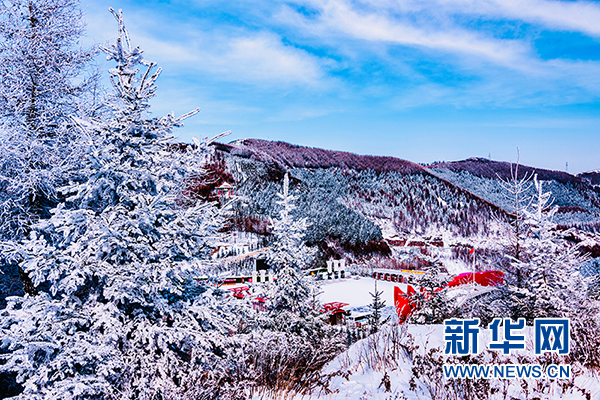 宁夏白雪山最新消息,宁夏白雪山动态资讯