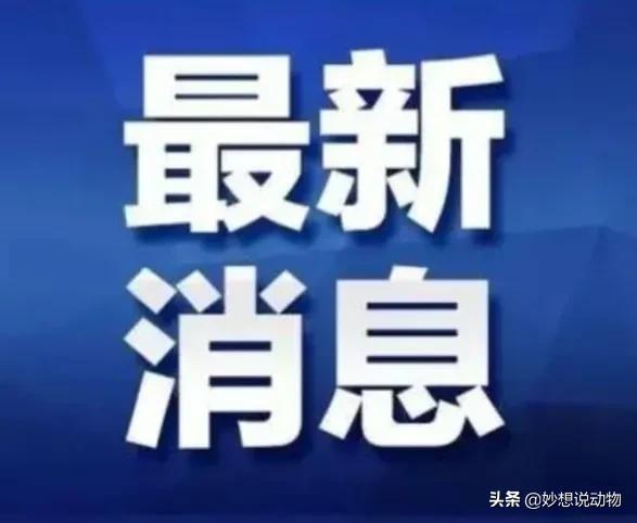 大方新闻最新消息2017,2017大方资讯速递