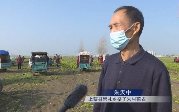 河南上蔡崇礼诈骗最新,河南上蔡崇礼最新诈骗案