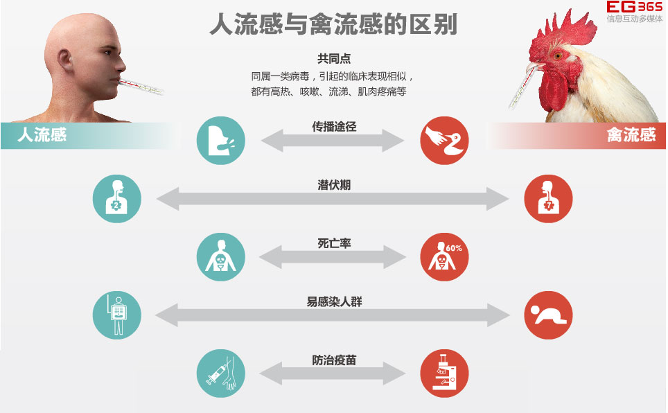 苏州禽流感最新消息,苏州禽流感最新动态