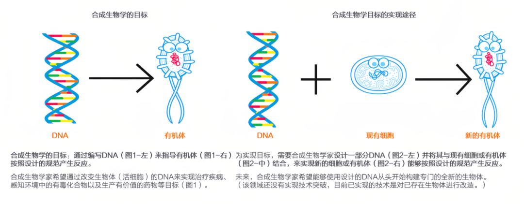 生物最新资讯,生物前沿动态