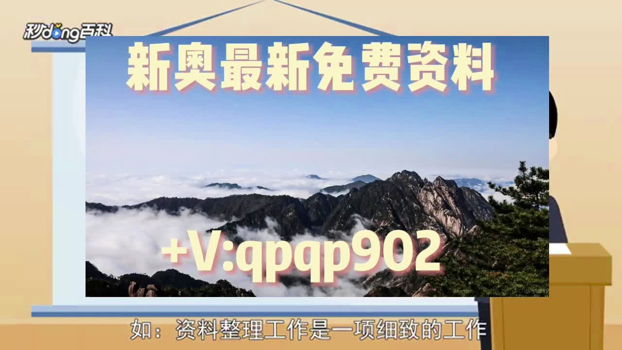 2024澳门资料大全正版资料免费,人力解答解释落实_定制集U40.50