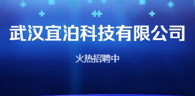 武汉人才网最新招聘信息,武汉人才市场最新职位速递