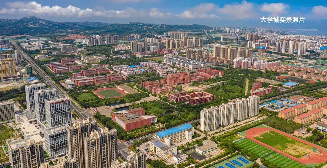 新泰市大学城最新消息,新泰市大学城最新动态