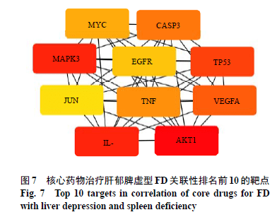 2021澳门精准资料免费公开,公开性与彩票机制的探讨_还原型G34.940