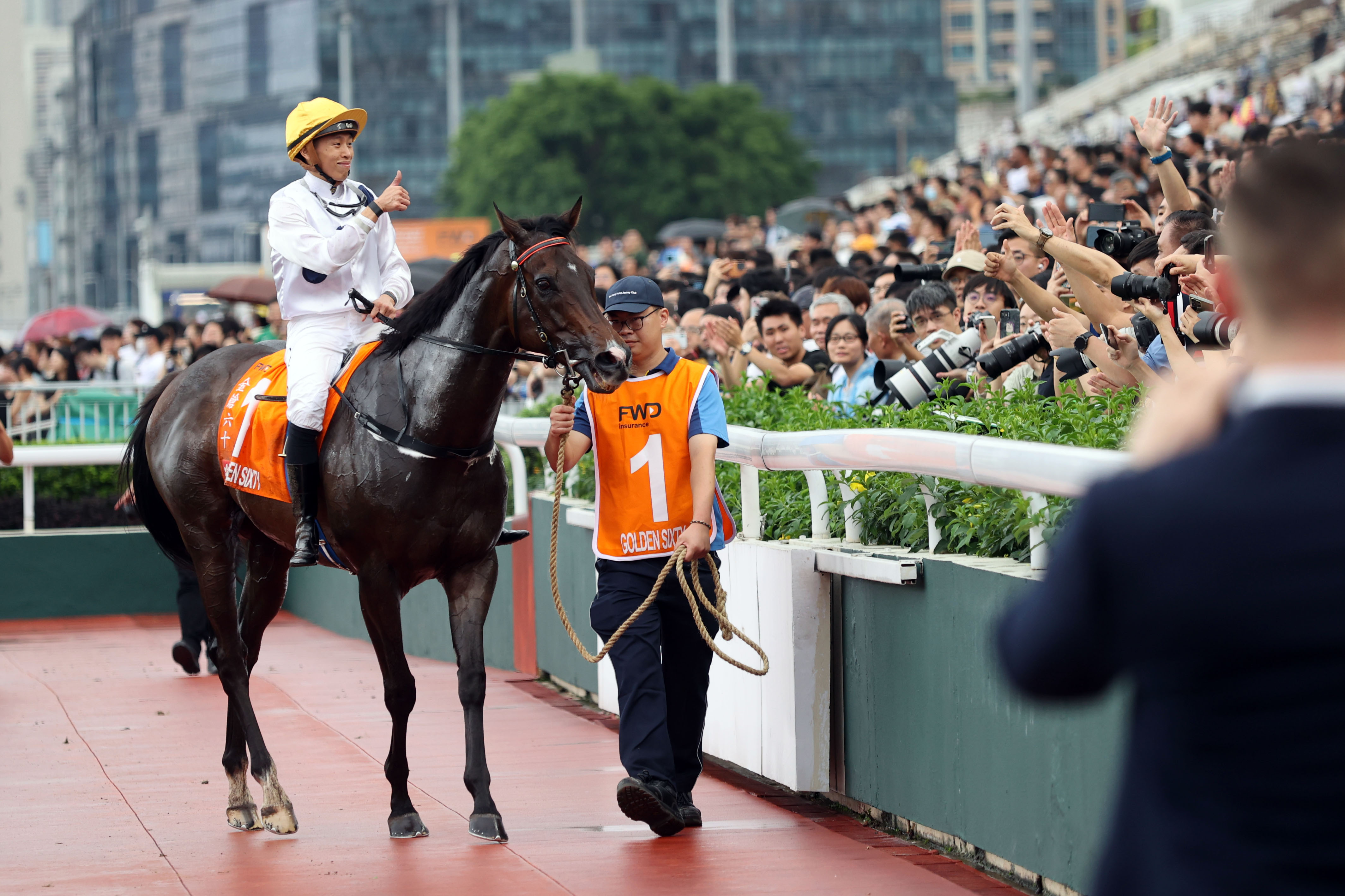 2024年香港免费看马资料,重点探讨解答解释现象_专属品H23.754