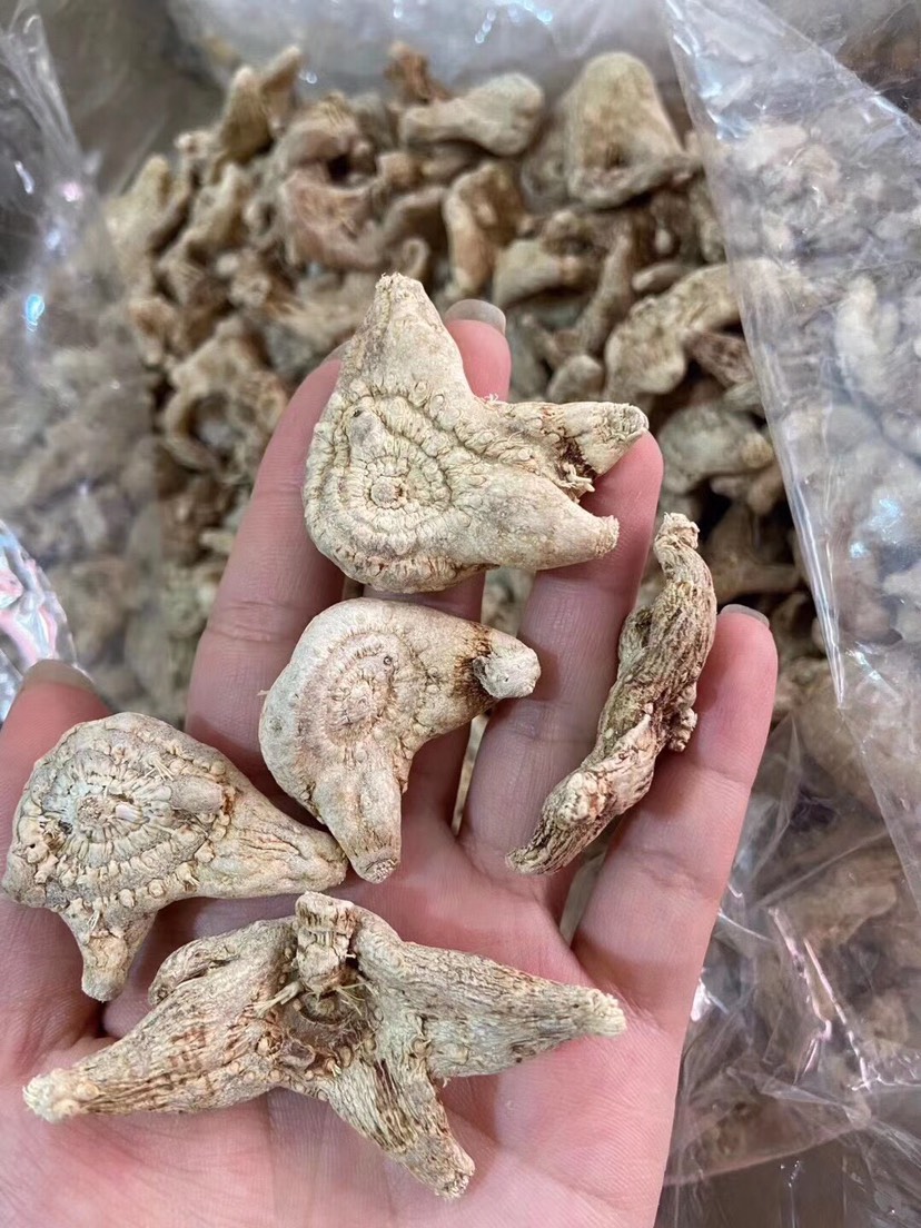 白及最新价格,白及近期行情