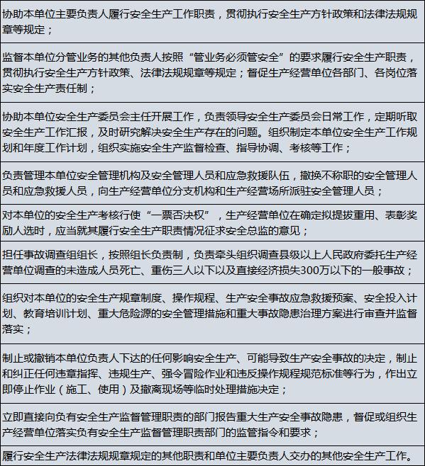 安全总监管理办法最新