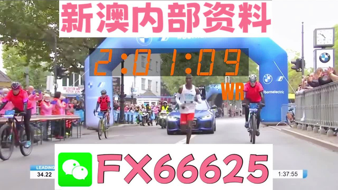 新澳2024年精准资料32期,解读2024年新澳精准资料32期｜复古型H61.195