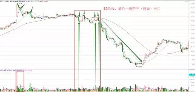 最准一肖一.100%准｜最准一肖一百准｜深入分析解答解释原因_M53.164