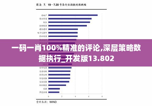 最准一肖100%最准的资料｜实地数据分析方案_自主款M13.317