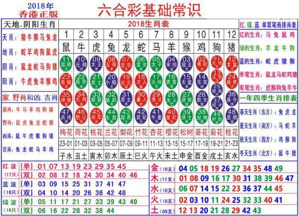 澳门正版资料大全资料生肖卡｜澳门正版资料生肖卡一览_强化解答解释落实