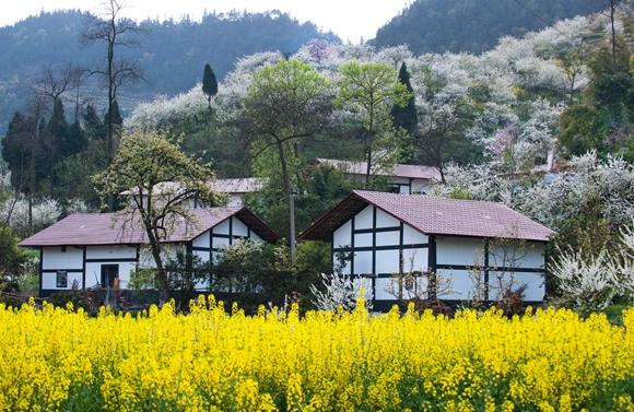 渝北统景场镇最新规划：渝北统景场镇未来蓝图